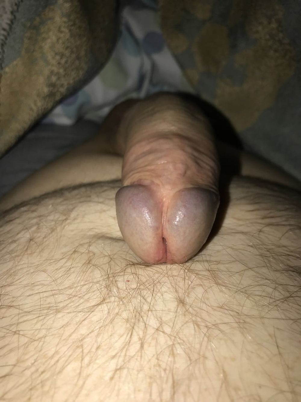 Morning Wood Again 