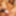 Nana Natsume + Ami :: Pussy Encyclopedia - CARIBBEANCOM #17