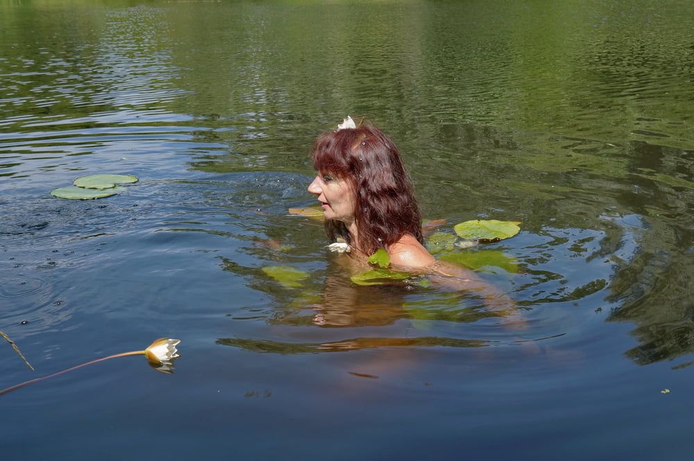 In the Pond