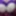 purple bound breasts