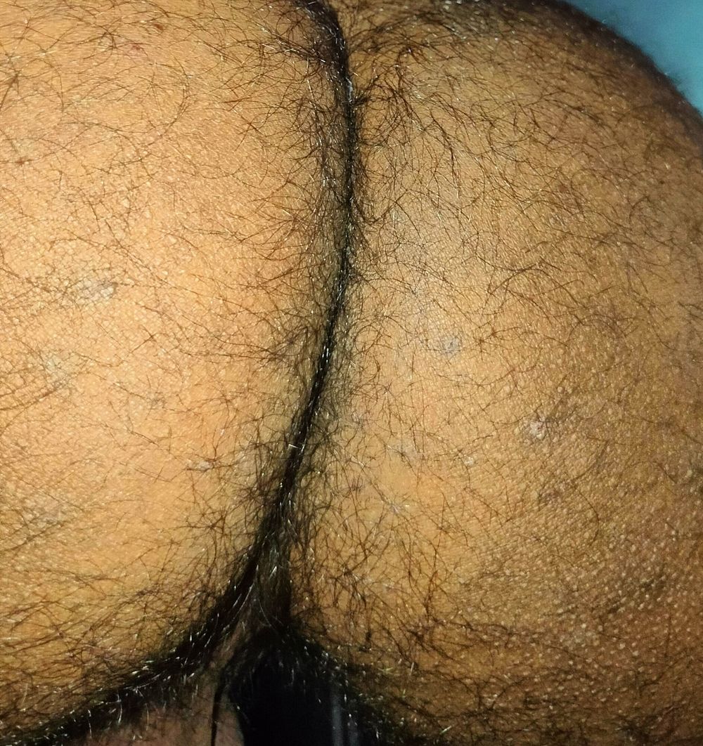 Hairy Cock and Ass #4