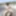 Summer memories from nudist beach