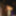 Our blowjob gifs