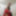 Redshirt.  Skirt