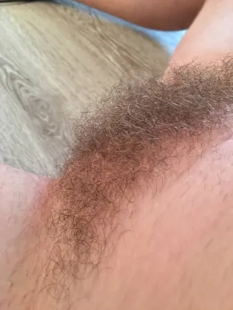 hairy pussy meine behaarte fotze         