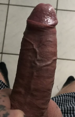 Mein schwanz