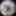 lizzy yum - panoramic images #33