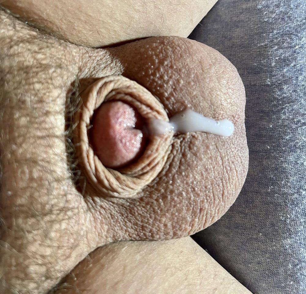 Tiny penis, micro, cock, inverted cock photos #2