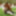 BIG Lesbian Orgy with Grannies and Young Girls PART 2