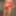 Ass
