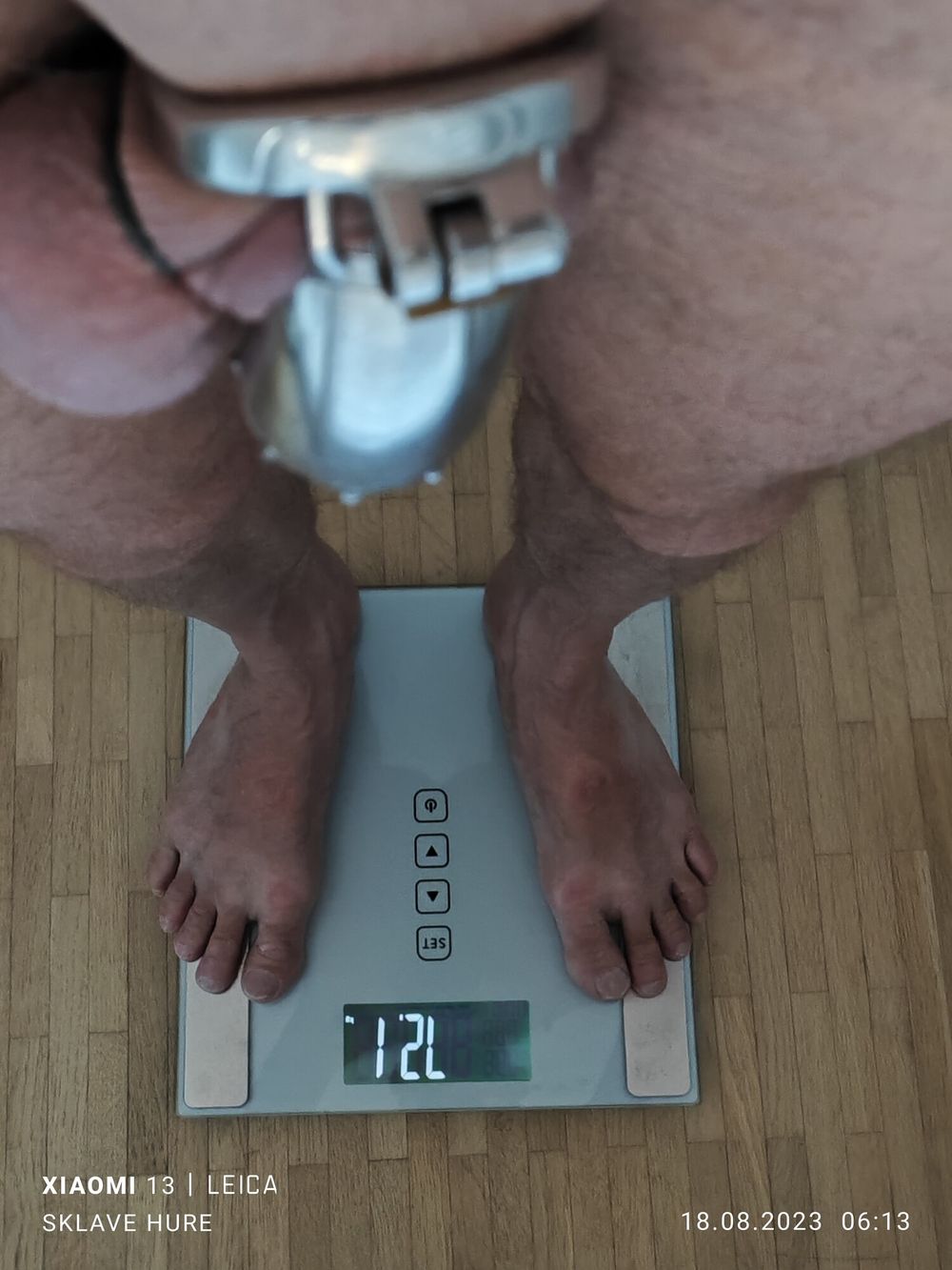 Weighing, Cagecheck, plugcheck on July 18th, 2023 #5