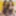 BRAZILIAN TRANSEXUALS: Isabelly Fontanely And Nataly Souza #2
