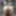 Bbw sexydixie27