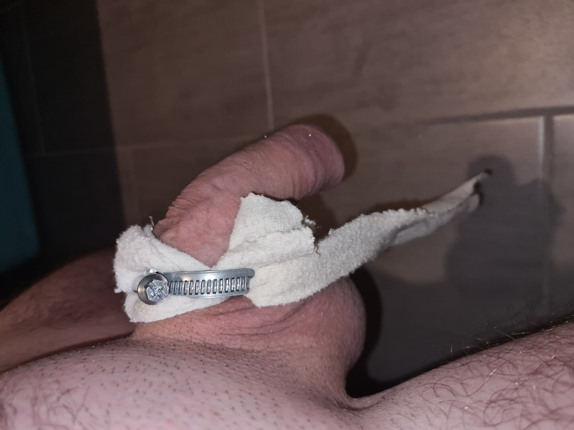 Penis banding session with hoseclamp #5