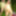 Trans Camelia naked pics small cock