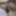Hintli jigolo büyük yaraklı nagpur delhi raipur jaipur gavat 