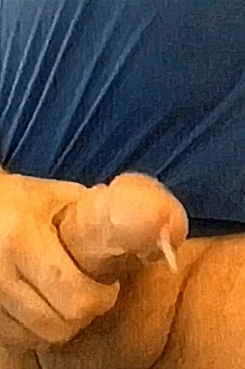 Grandpa cumming like a fountain  #15