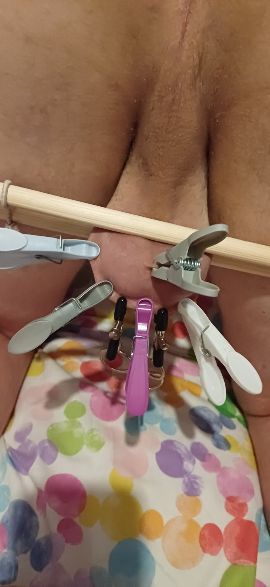 Training of bitch boy #3