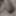 Pierced uncut cock closeup