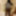 Black honey gets recorded as she showers #29