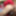 Virgin ass of an 18 year old student boy #6