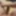 My cock and body in the mirror #6