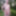 Garden, Garten, 