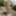 My very Tiny Dick
