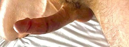 Big cock for your holes
