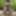 Free Eva Photos