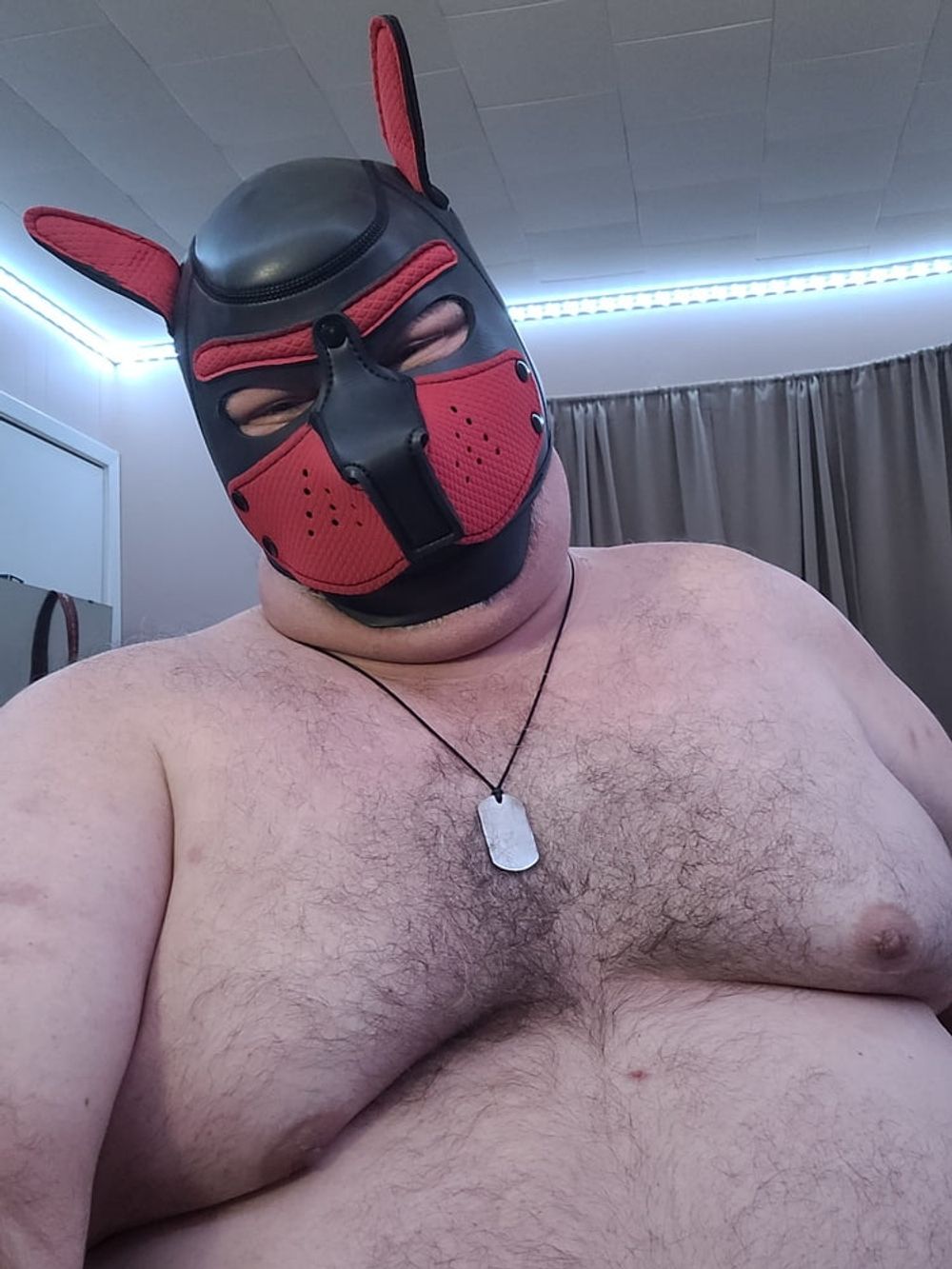 Woof! Masked Set #23