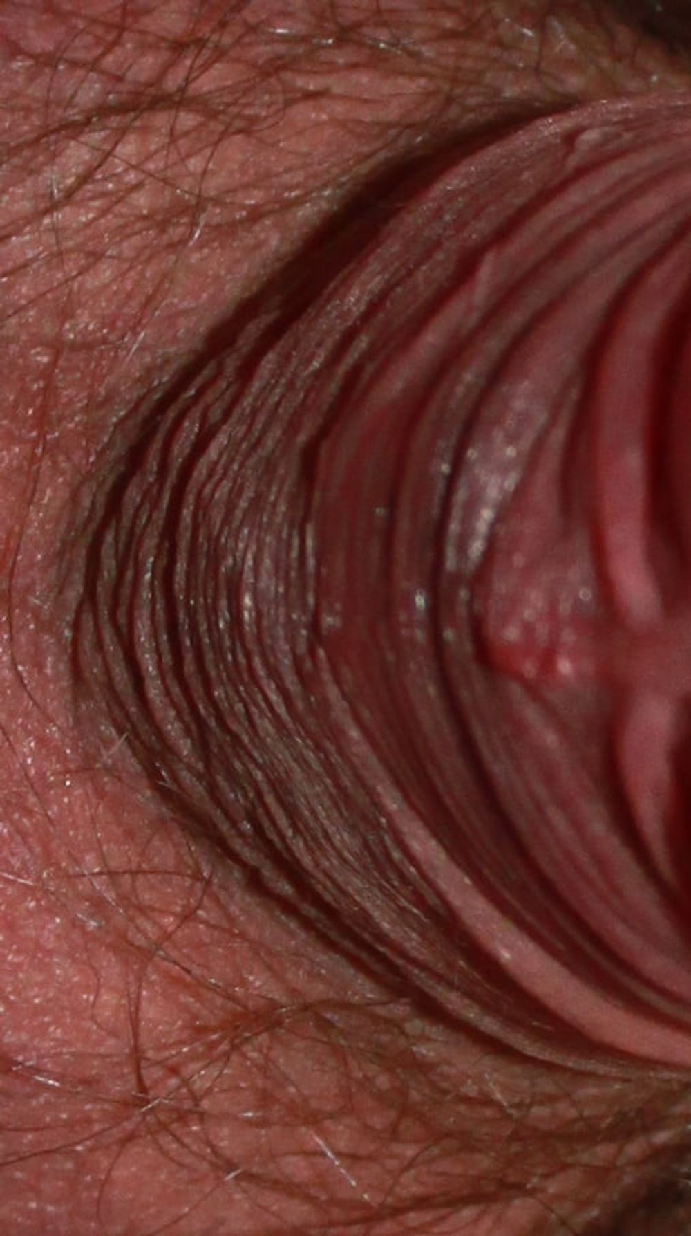 Close up dick #50