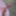 Bald Cock Pics