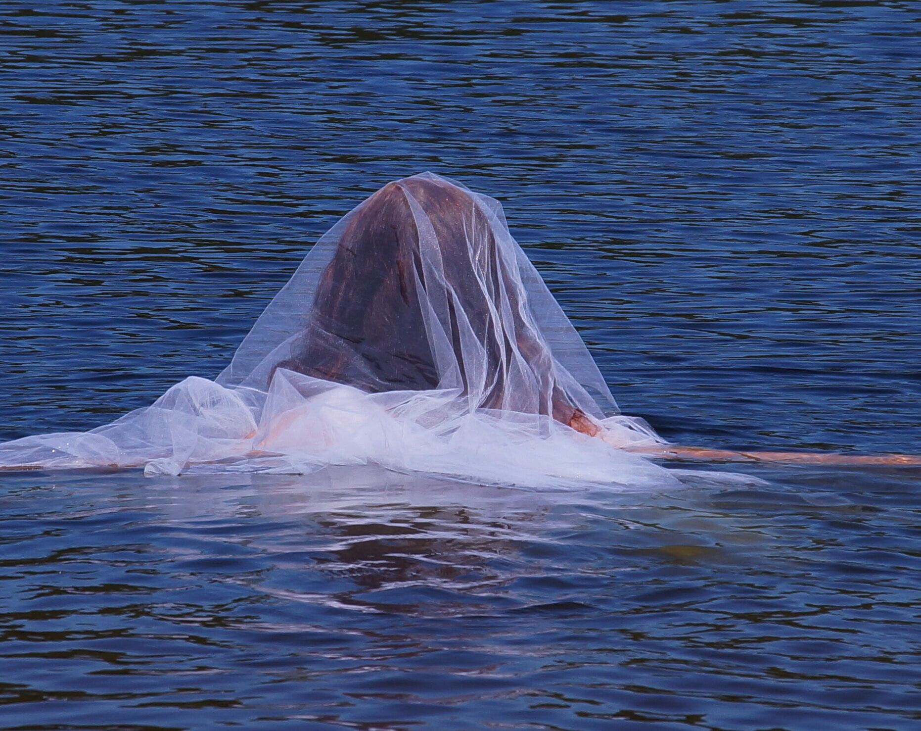 Drowned Woman 2 #16