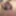 Open for action 