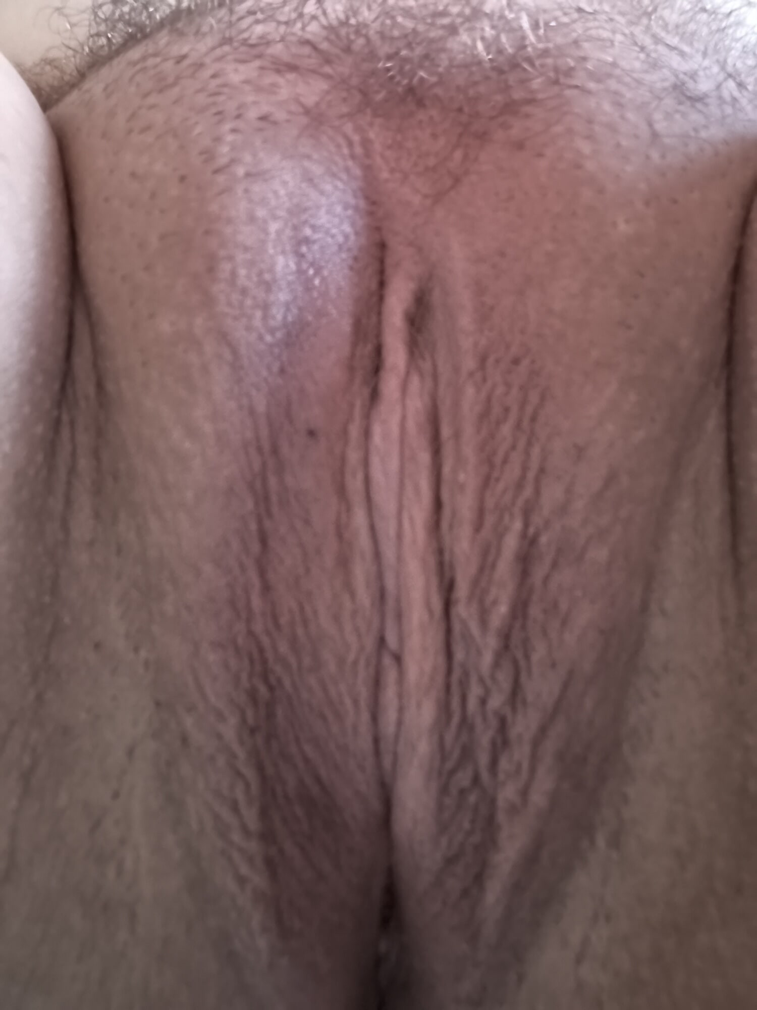 Pussy 