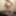 Electra Fox  Free Photos