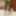 OnlyFans/Fansly Content Previews