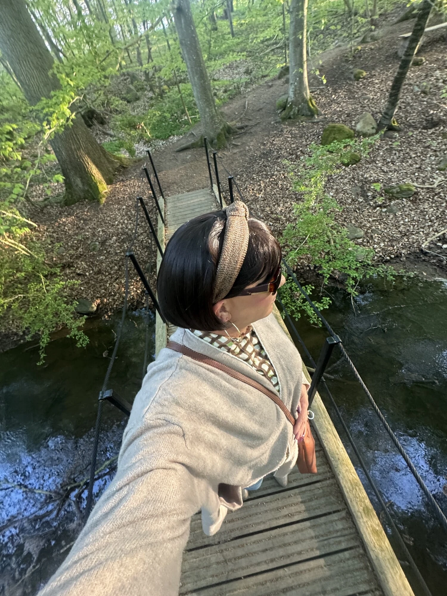 Walking in the woods #25