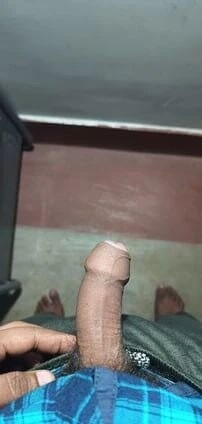 Desi land