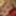 DAGFS - Pretty Faced Scarlet Red Gives Striptease Before Fuc #47