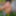 SelfiesNudes al Aire Libre (Excitado en la Calle) #15