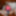 Pornojuice 2024