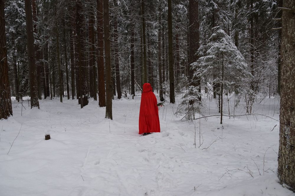 Little Red Hood in deep forest #7