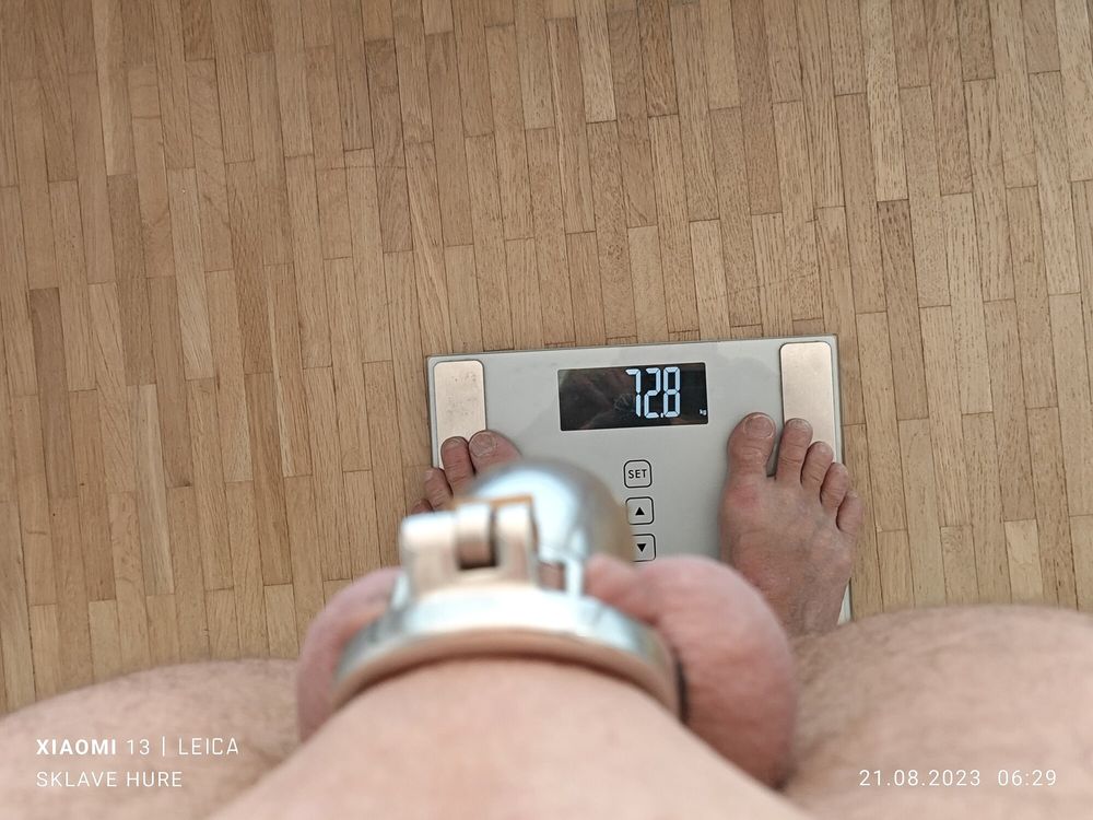 Weighing, Cagecheck, plugcheck on August  07th, 2023