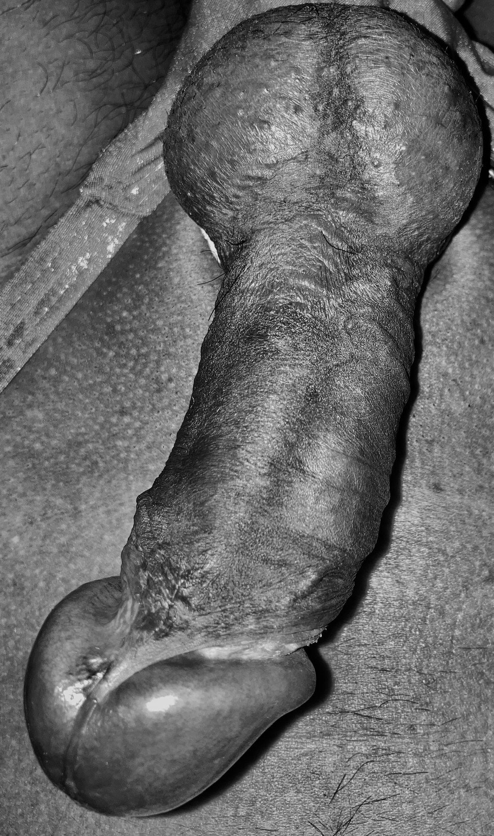 cock and thong #2