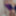 Hot Purple Minidress Slut