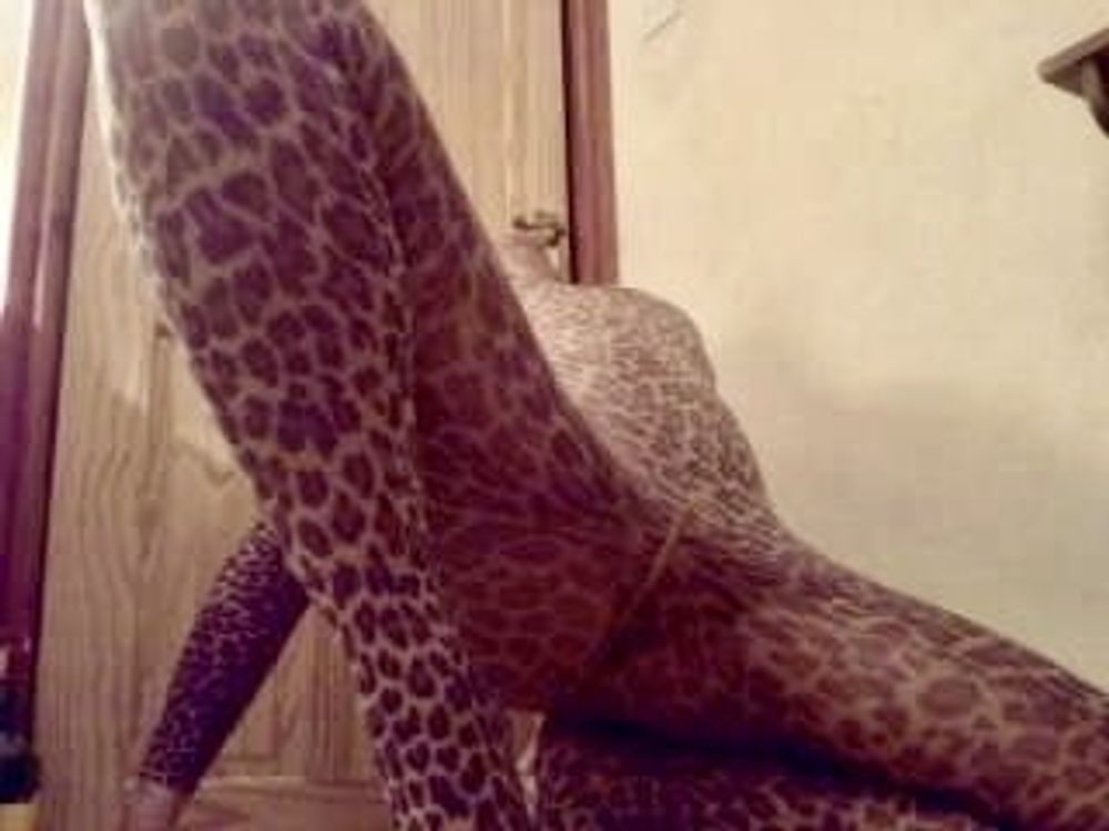 Leopard print body stocking #7