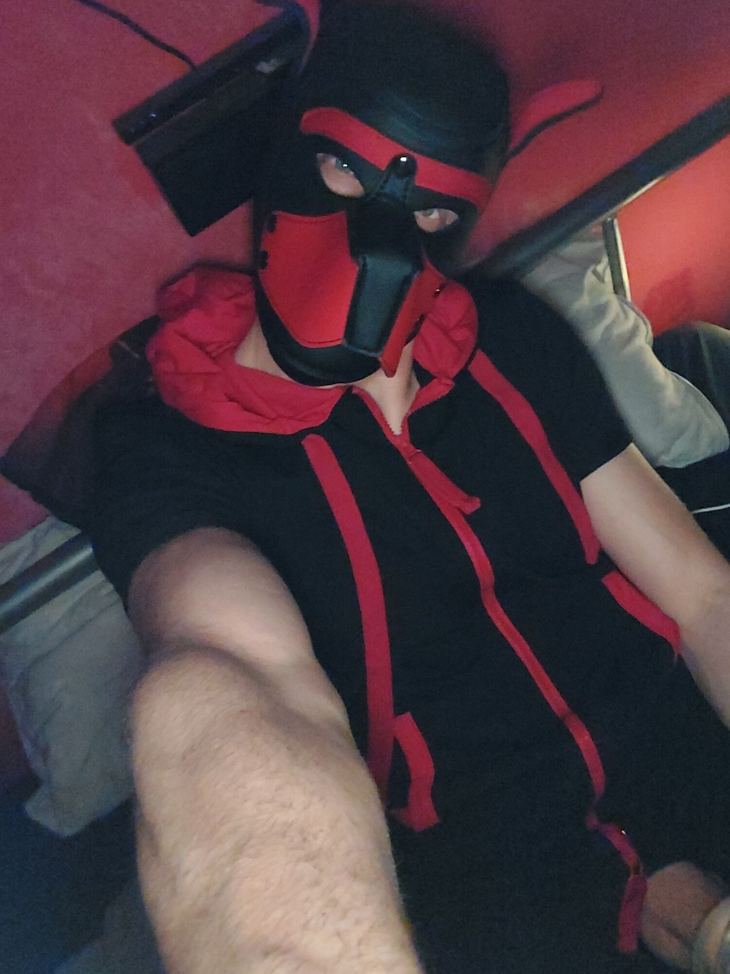 Horny Puppy