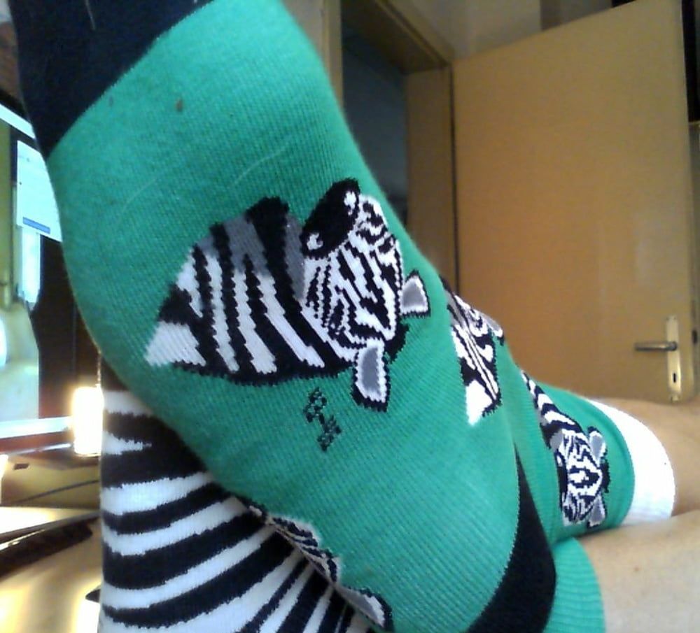 Catoon Socks fun #10